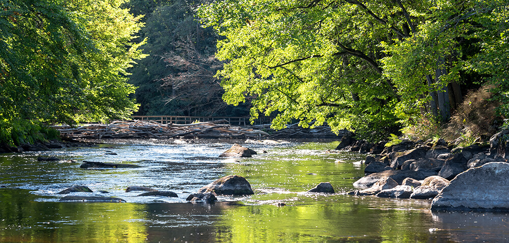 flusslandschaft kage auffangwannen für eine sichere entsorgung von schmutzflotten - gut für die umwelt